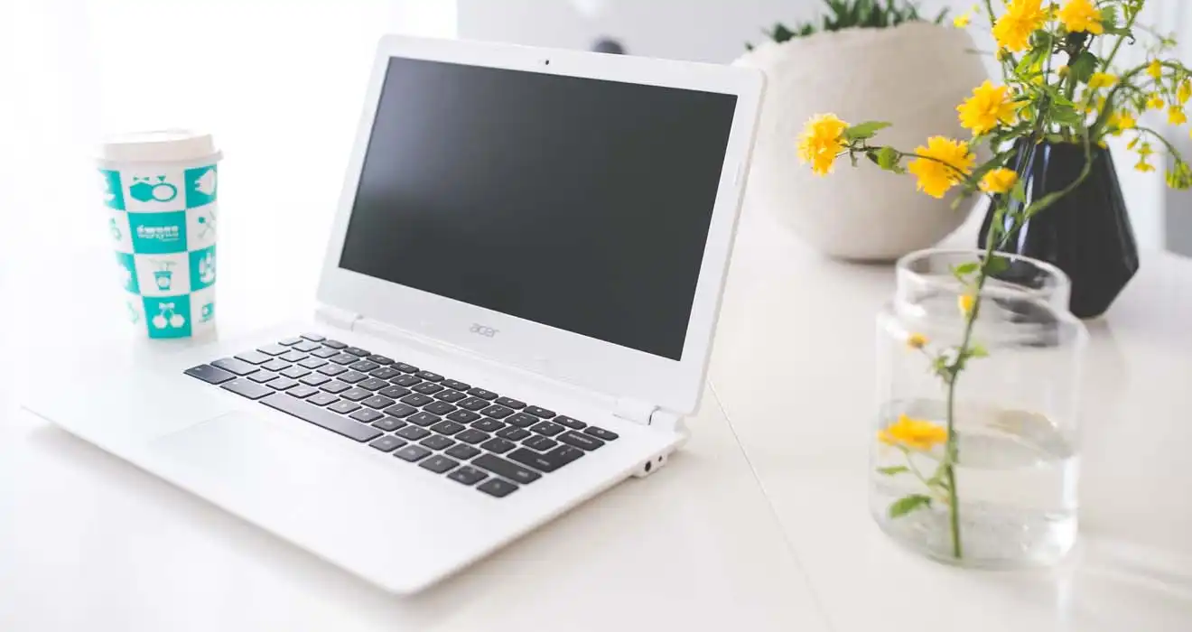 Ремонт ноутбуков Acer в Ярославле