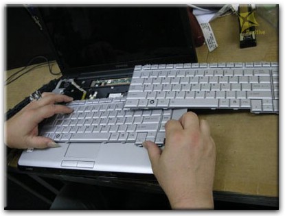 Ремонт клавиатуры на ноутбуке Toshiba в Ярославле